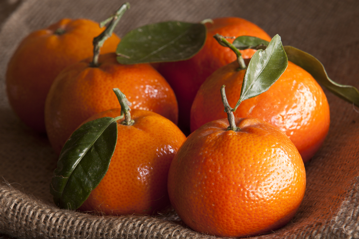 Macro Image of Mandarins